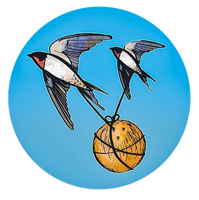 Grid-Bild von Migrating Coconuts